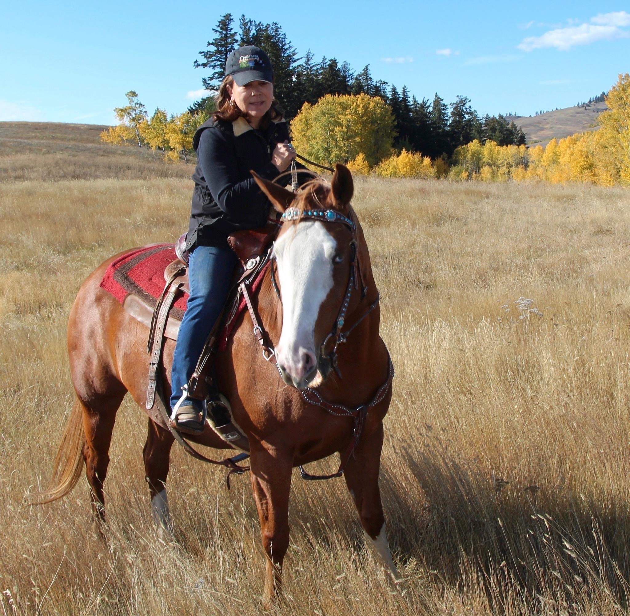A brunette woman with a ball cap on rides a brown horse in a large open field on a sunny day in the fall 