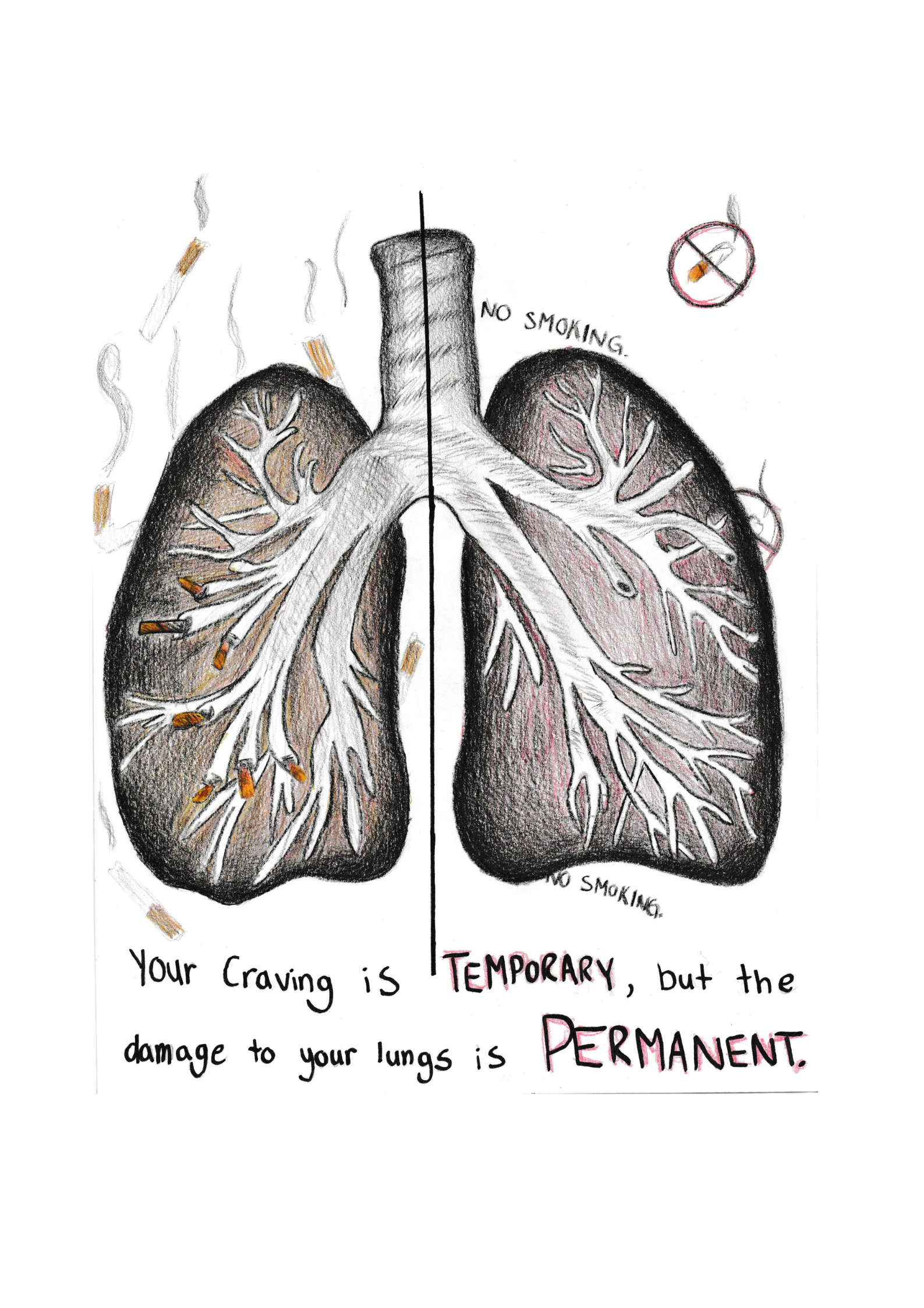 An illustration of a pair of lungs explaining how smoking and vaping damages them