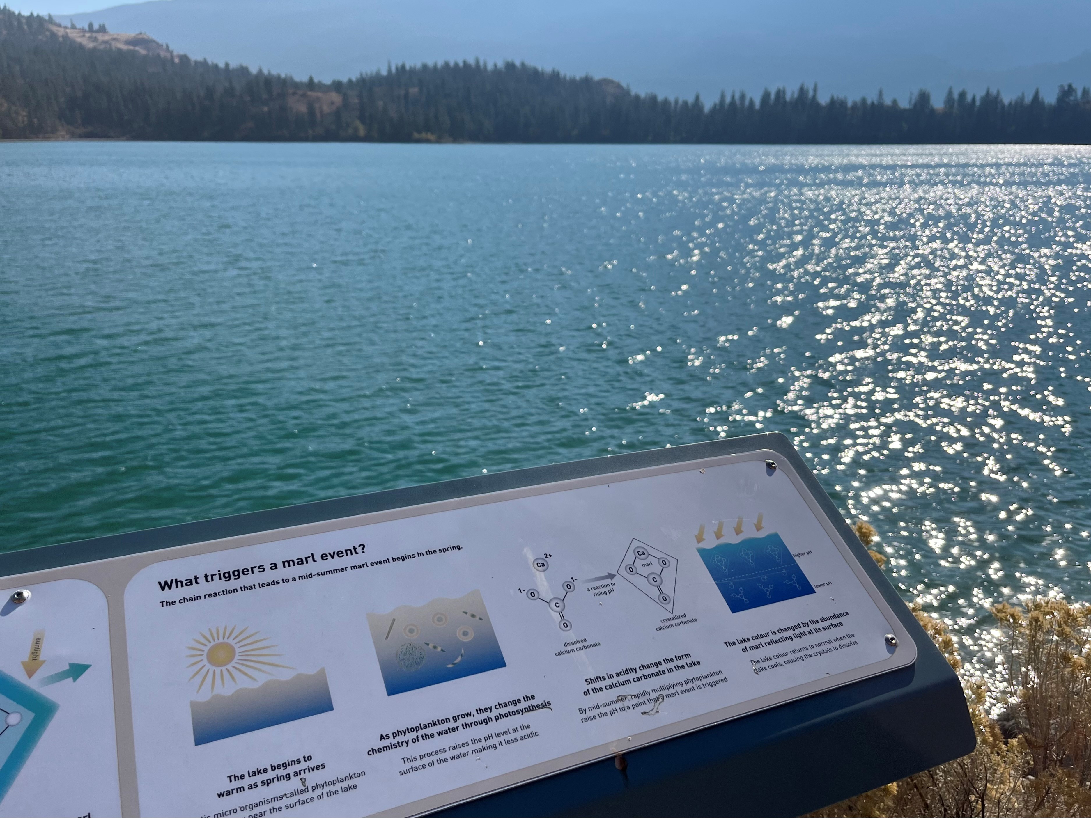 A blue green lake sparkling in the sun surrounded by evergreens and mountains with an information sign in front that says What triggers a marl event