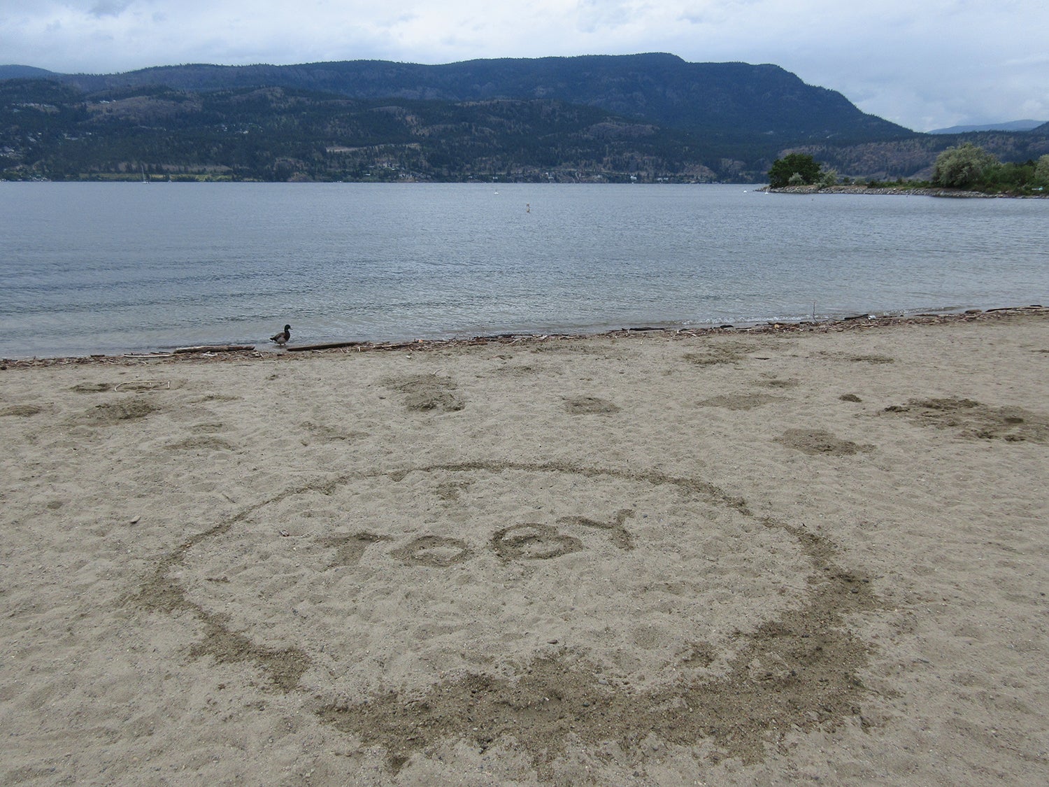 The word Toby written on the beach.