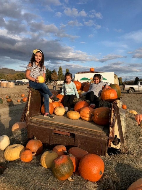 Three children sit in the back of a brown truck full of orange and yellow pumpkins during a Thanksgiving celebration.  