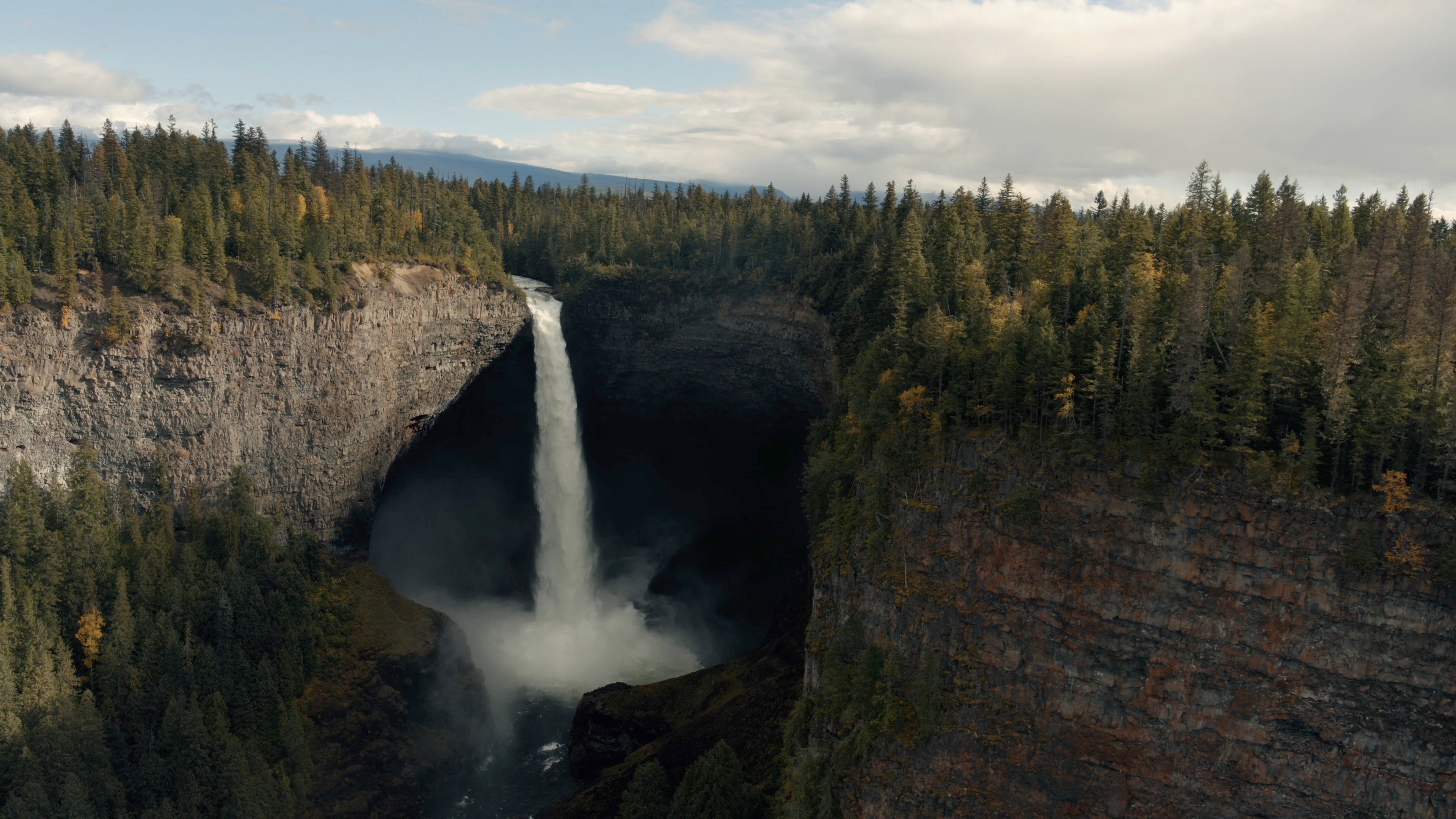 Waterfall surrounded by trees