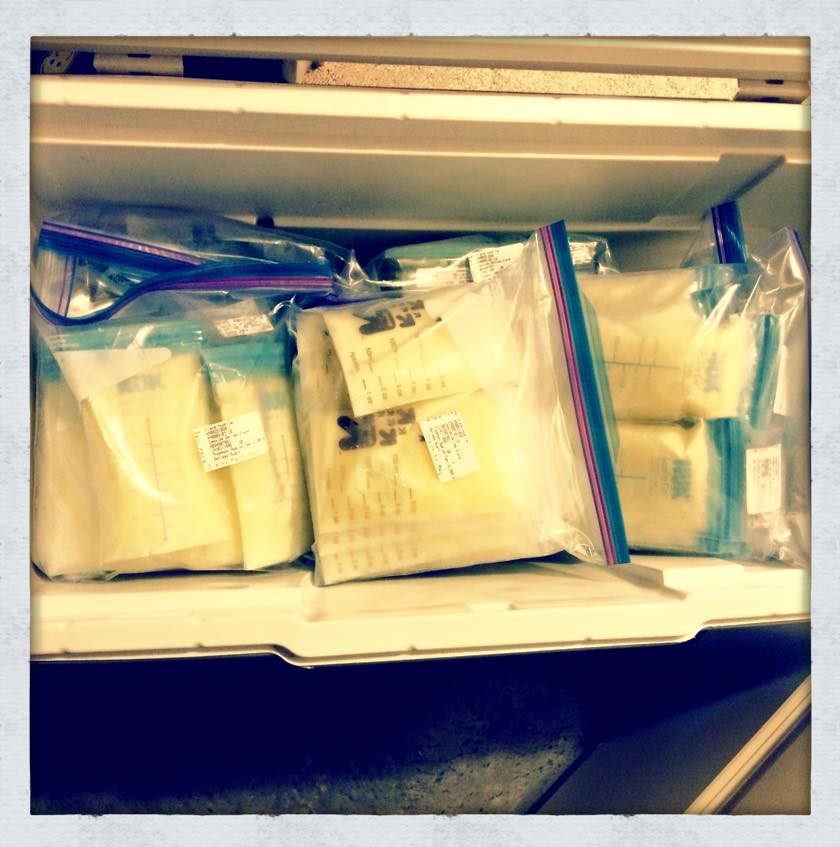 Three plastic ziploc bags full of donated breast milk sits in a freezer