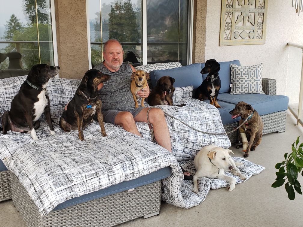 erson seated on an outdoor patio couch surrounded by several dogs, and a house exterior with windows and patio furniture in the background.
