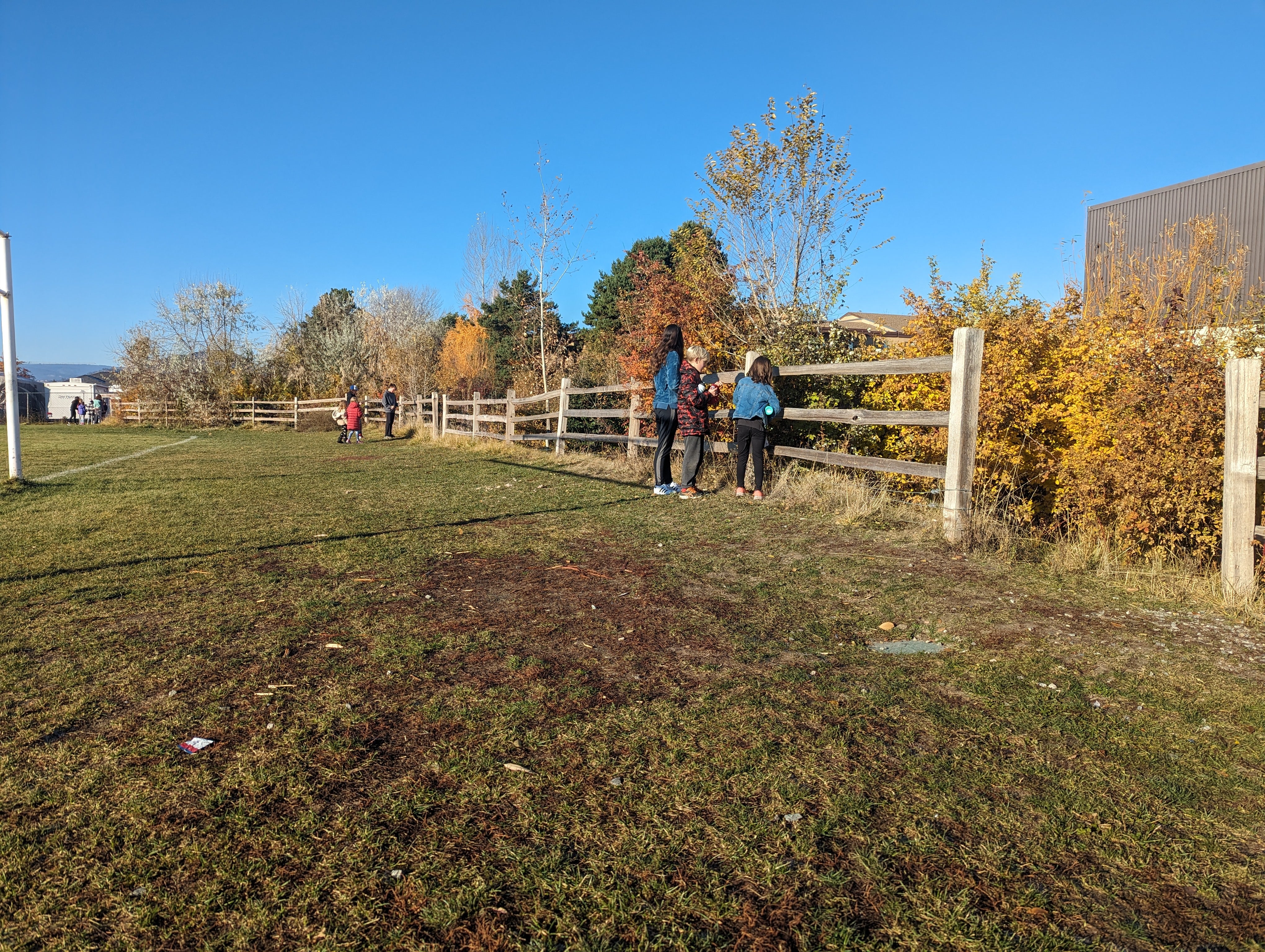 two people facing away looking over a wood fence at a farm type property