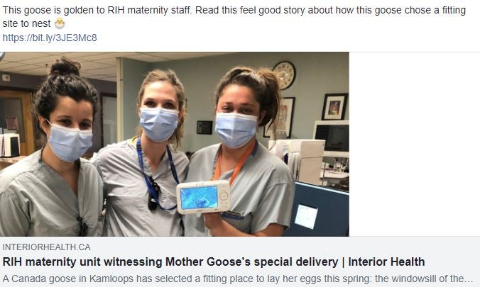 RIH nurses watch mother goose on monitor