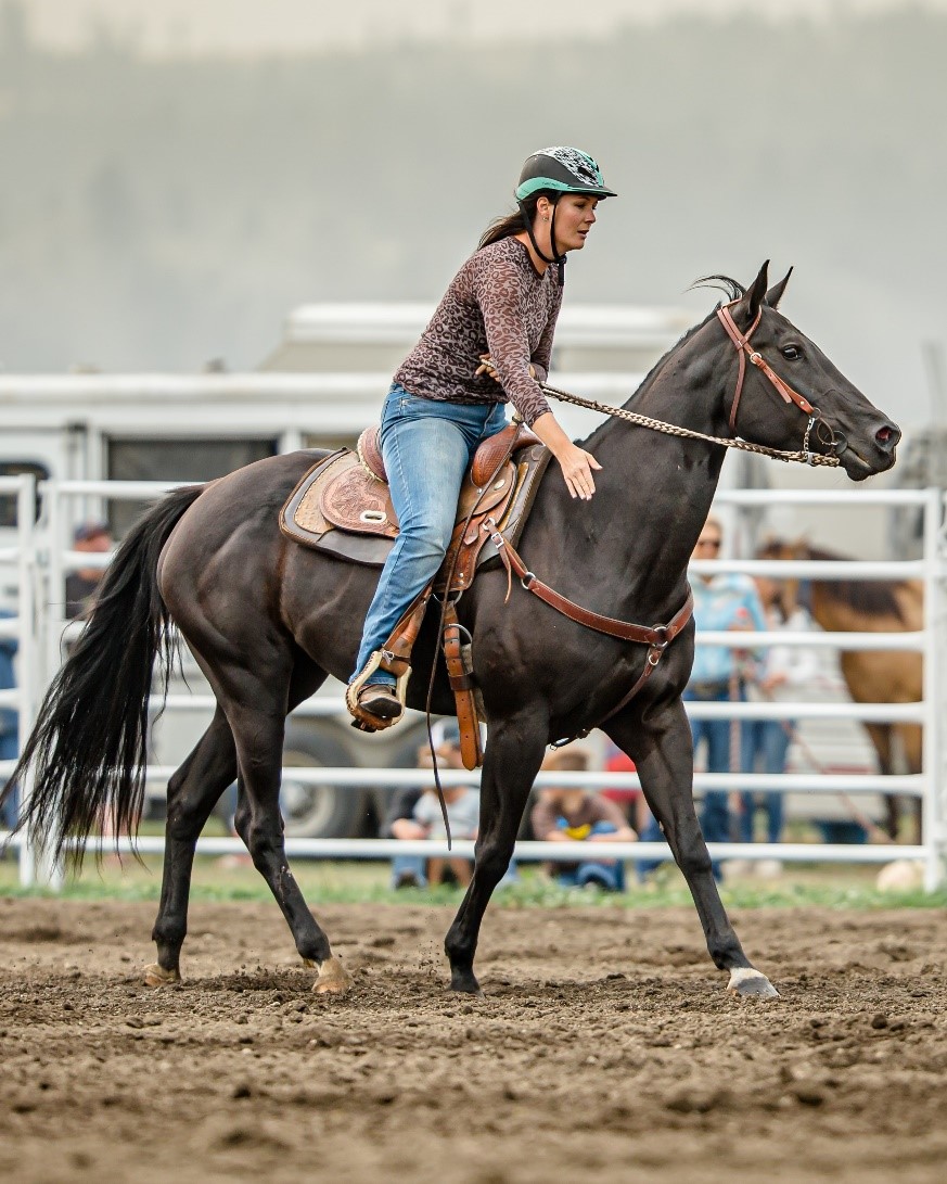 A woman in a brown sweater and blue jeans wearing a brown and teal helmet rides a black horse in a show ring