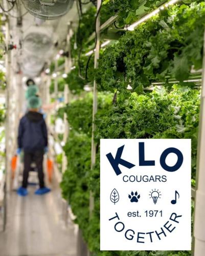 KLO cougars logo in front of a wall of plants and a child facing away