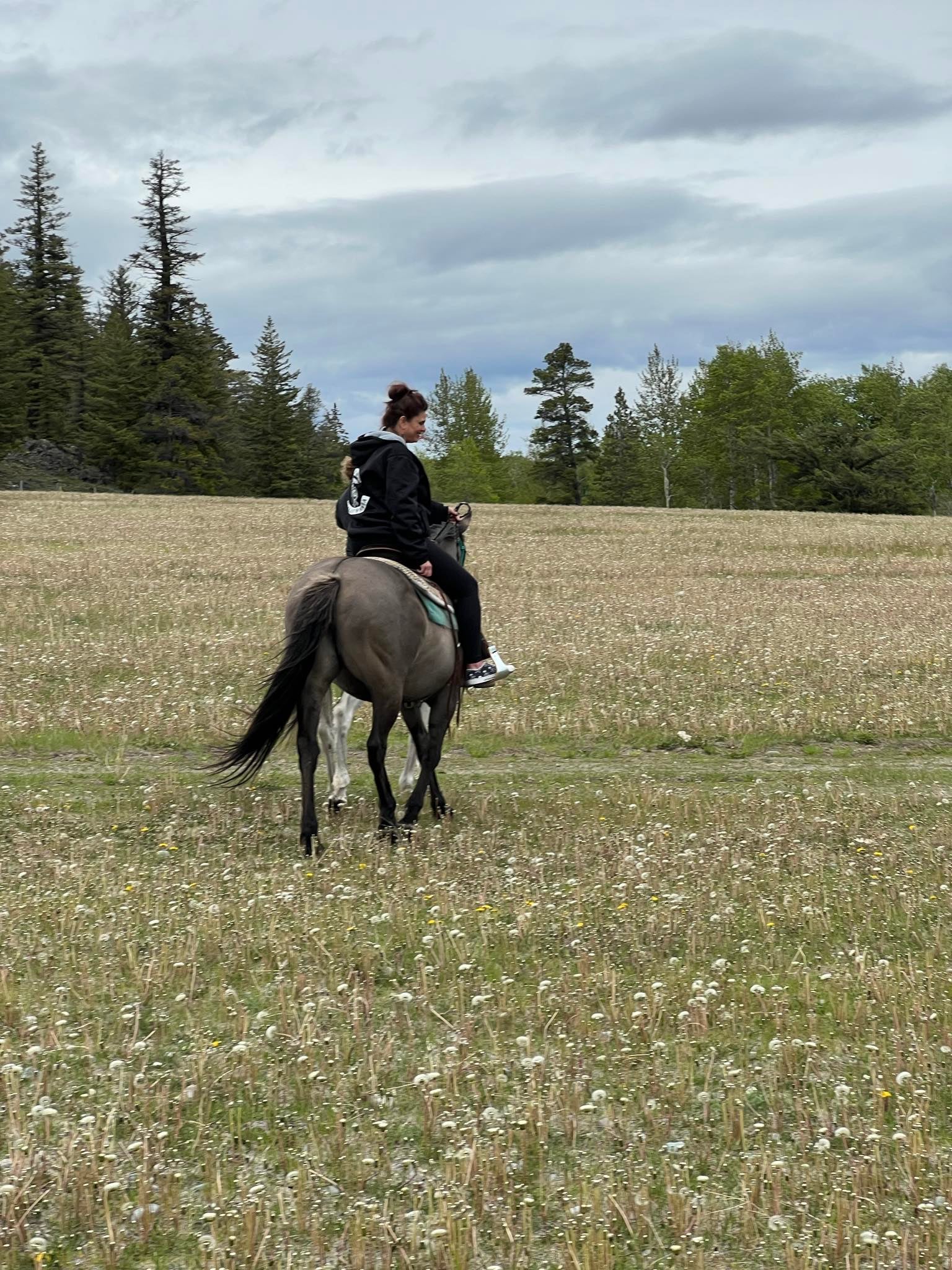 A person in black clothing and helmet rides a grey horse in a field of grass on a cloudy day.