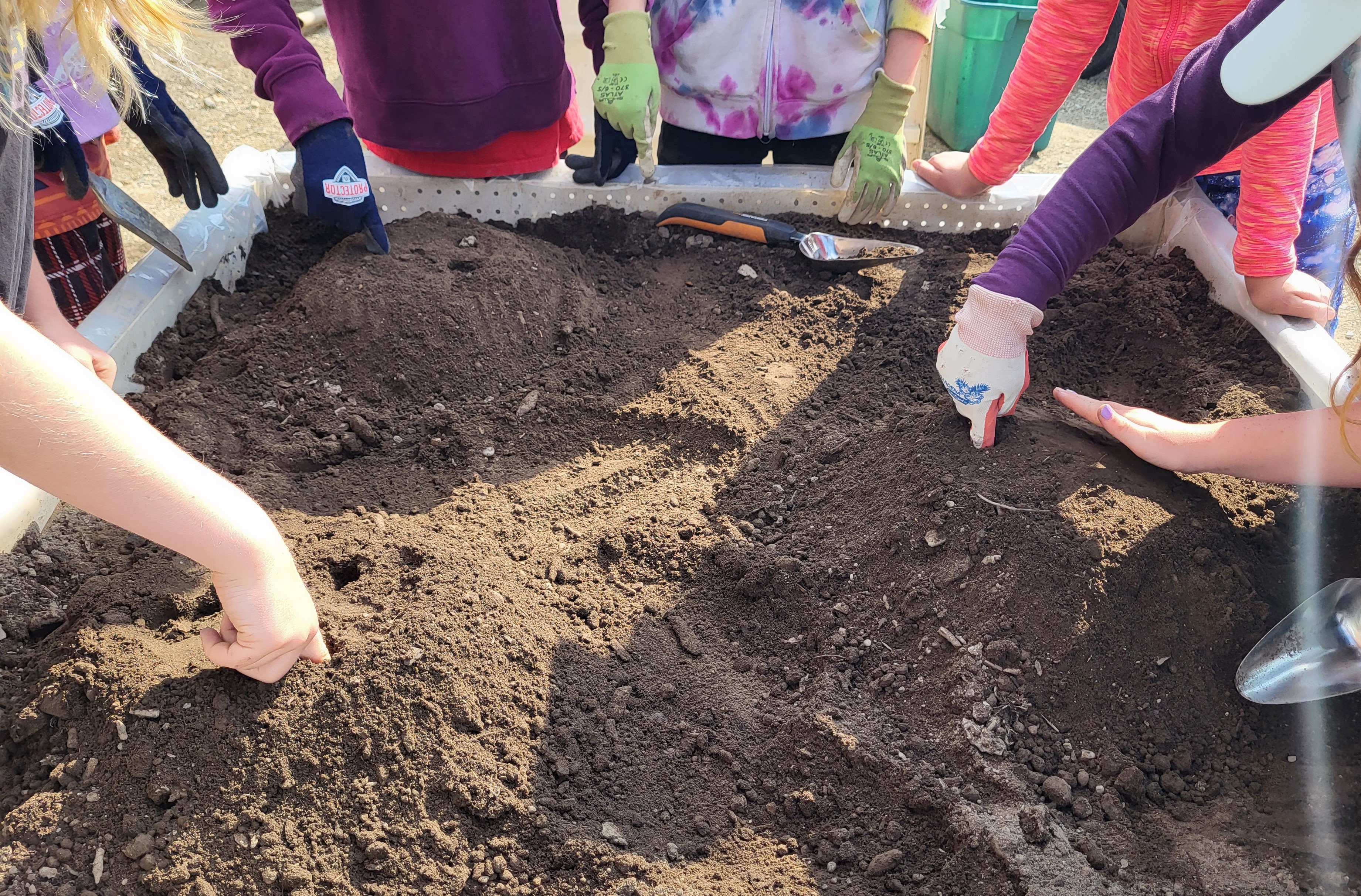 A group of children wearing gloves and bright clothing planting seeds in a patch of dirt