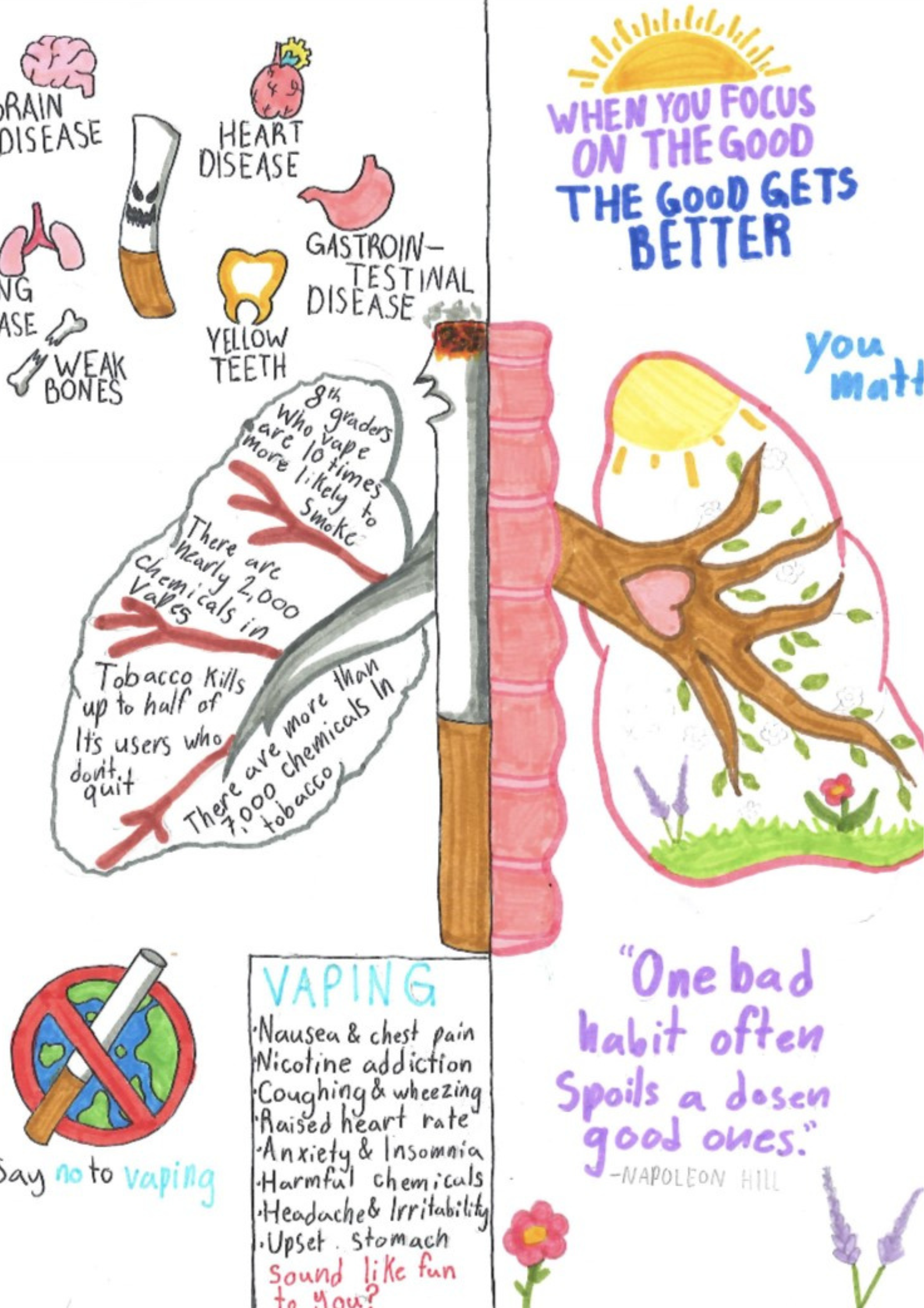 A poster depicting healthy and unhealthy lungs due to smoking tobacco and cannabis or vaping