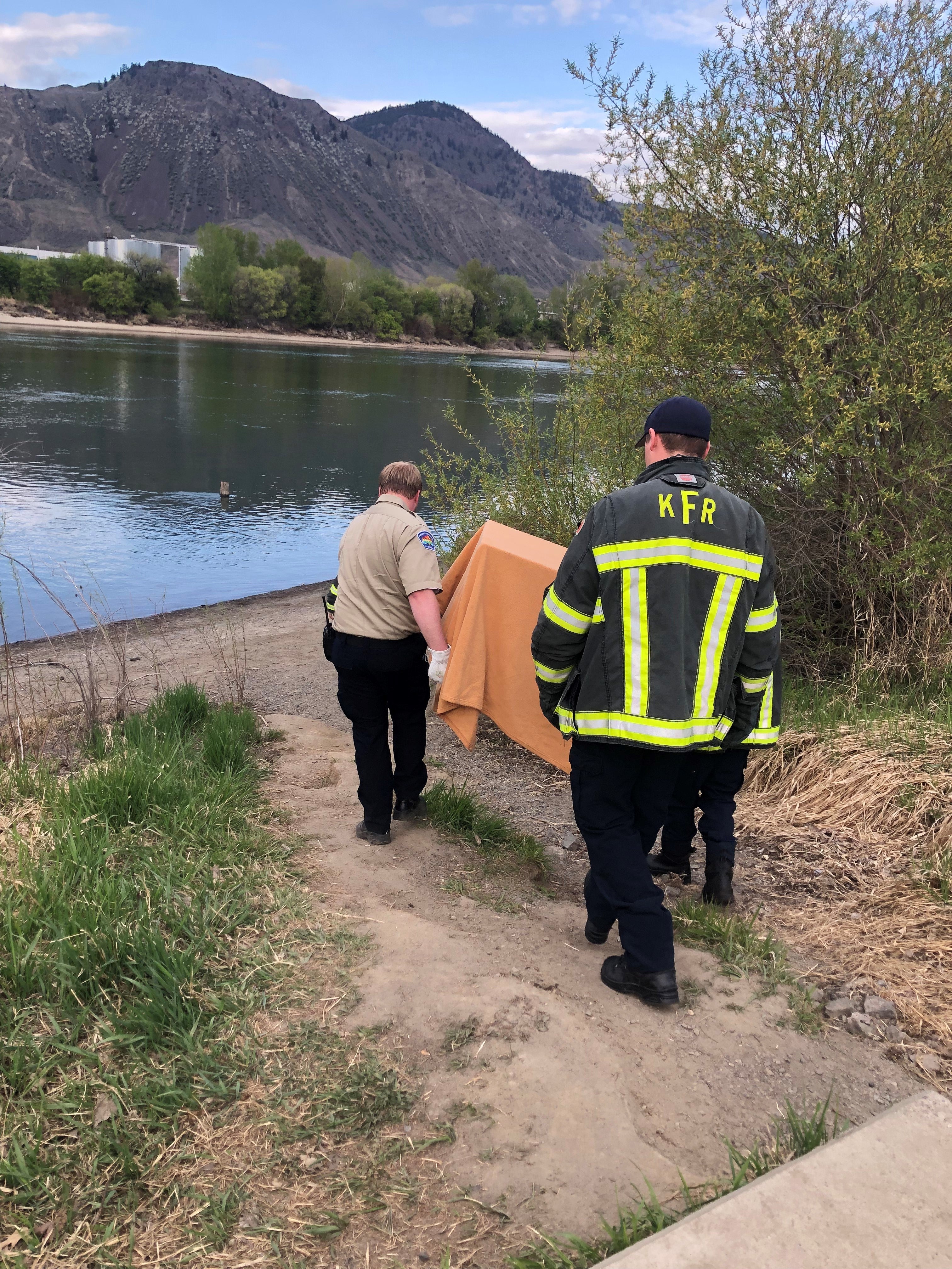 Geese transported in kennel.