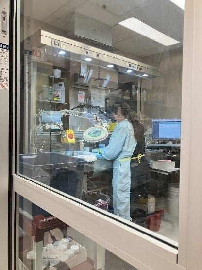 A person in a blue medical gown behind glass works in a closed room in a lab.