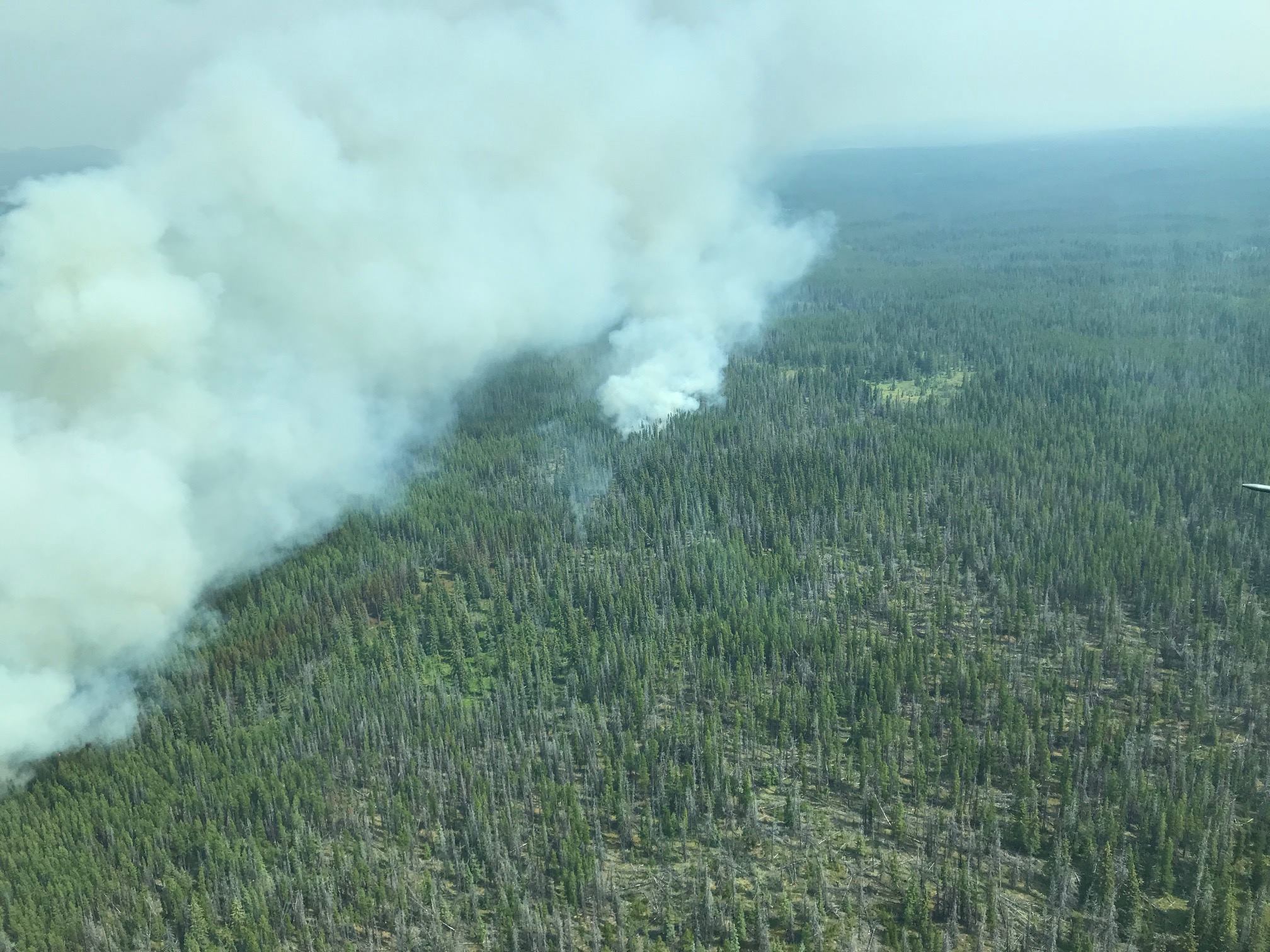 Cariboo Regional District Wildfire.