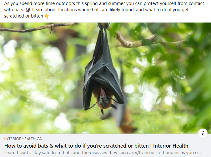 Bats Facebook Post