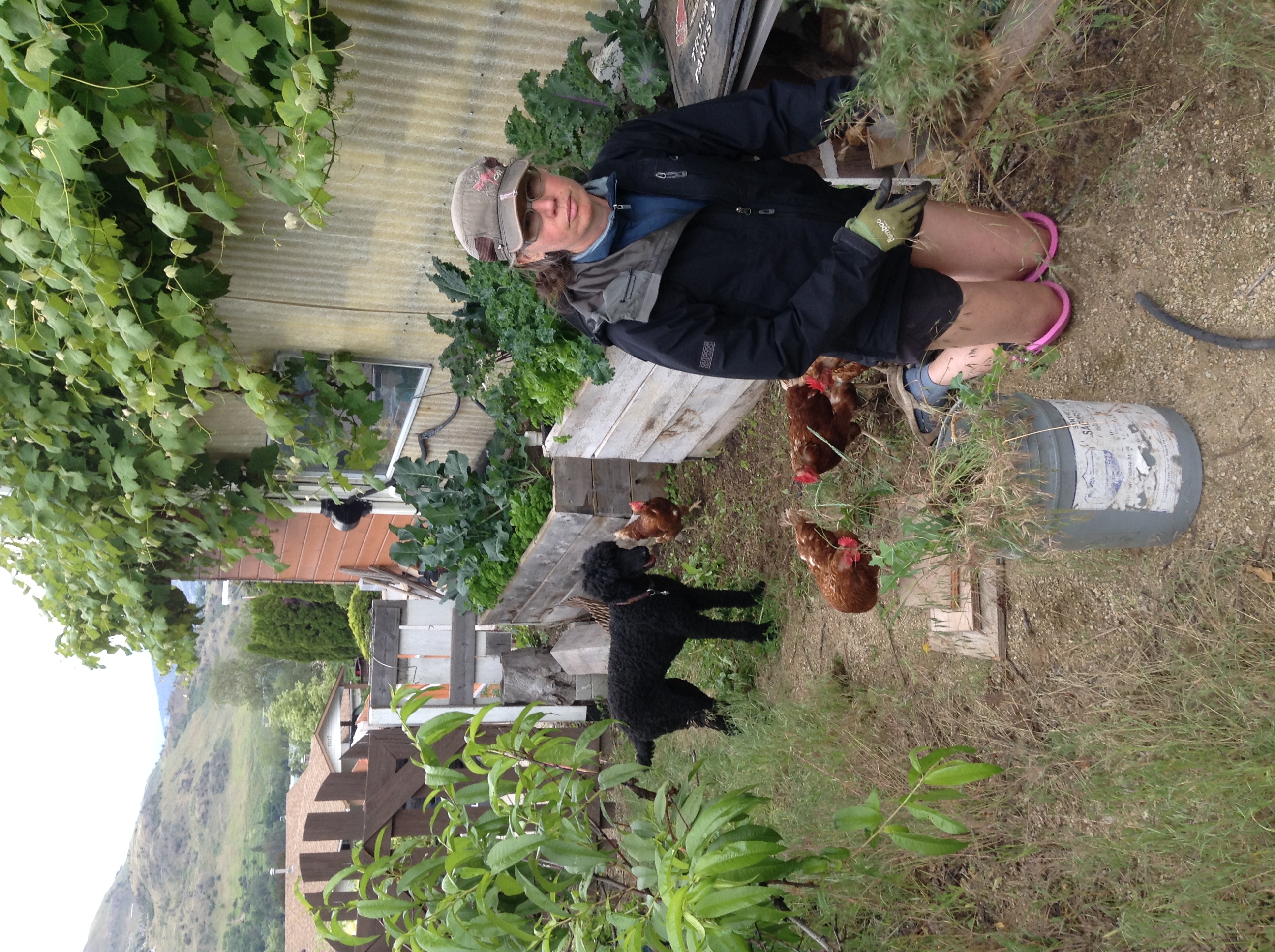 Woman wearing hat, glasses, jacket, shorts and gloves, kneels in garden with poodle and chickens, surrounded by plants