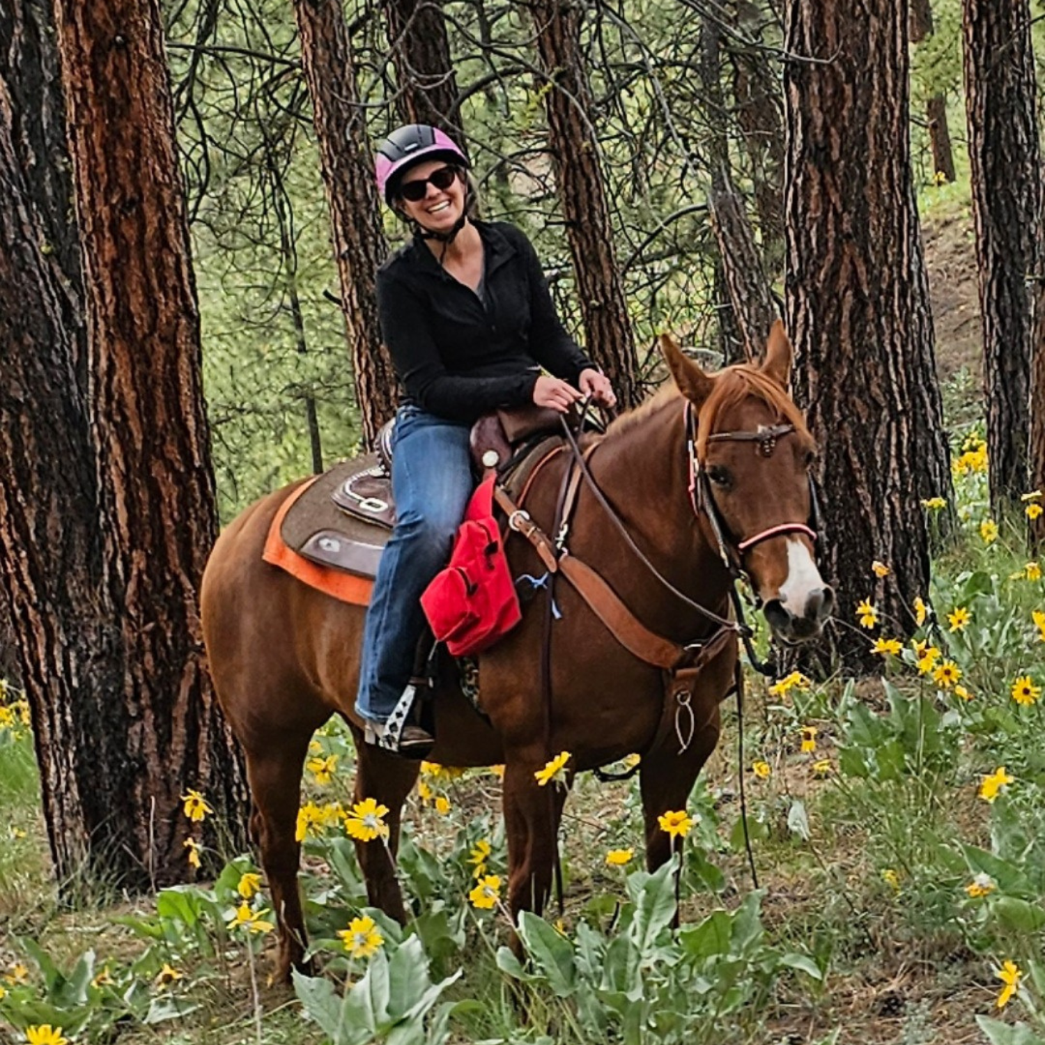 A person wearing sunglasses and a helmet rides a brown horse with a white nose in a grassy forest in spring. 