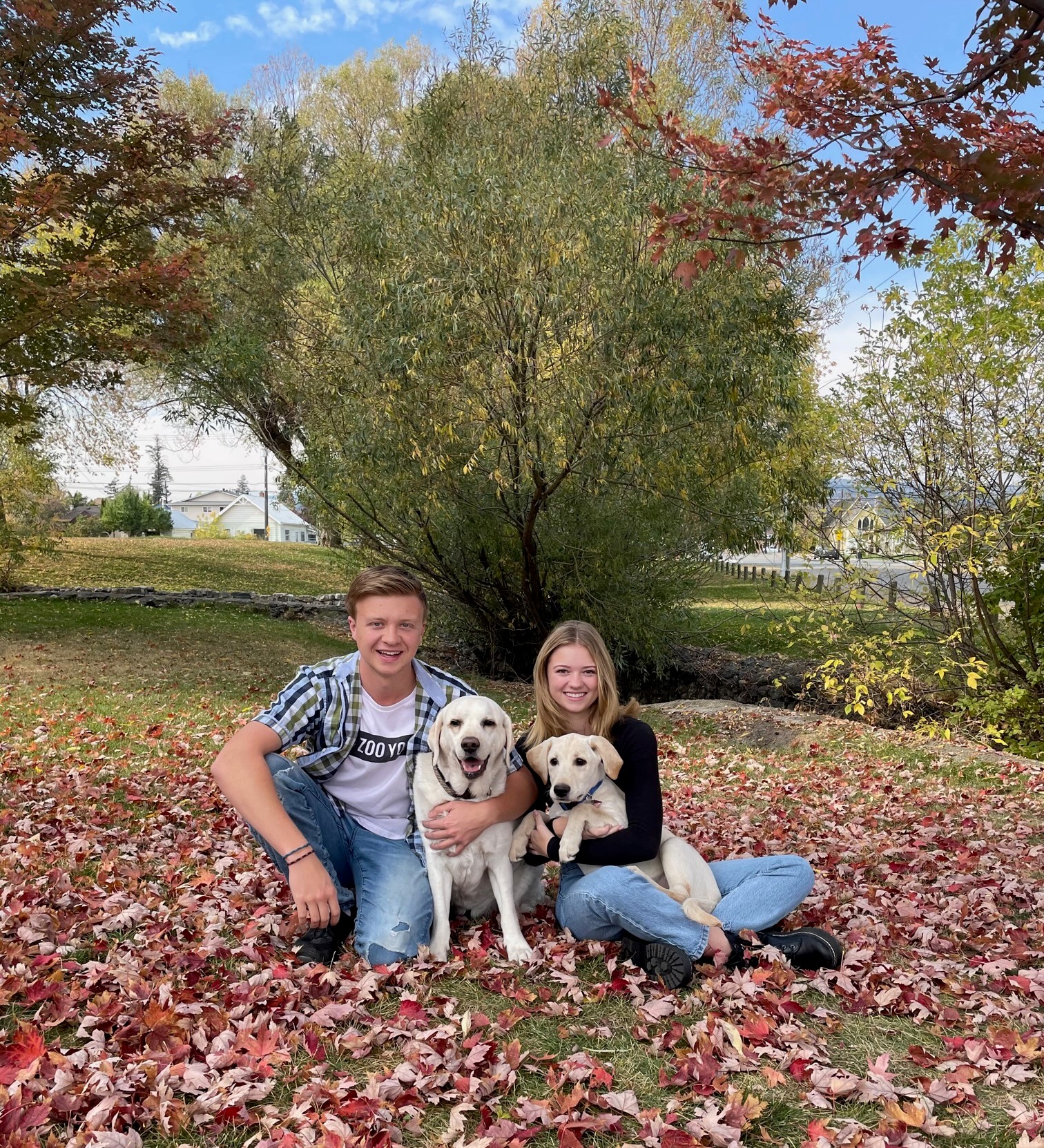 Man and woman wearing jeans smile holding two yellow Labrador dogs sitting on autumn leaves with trees in the background