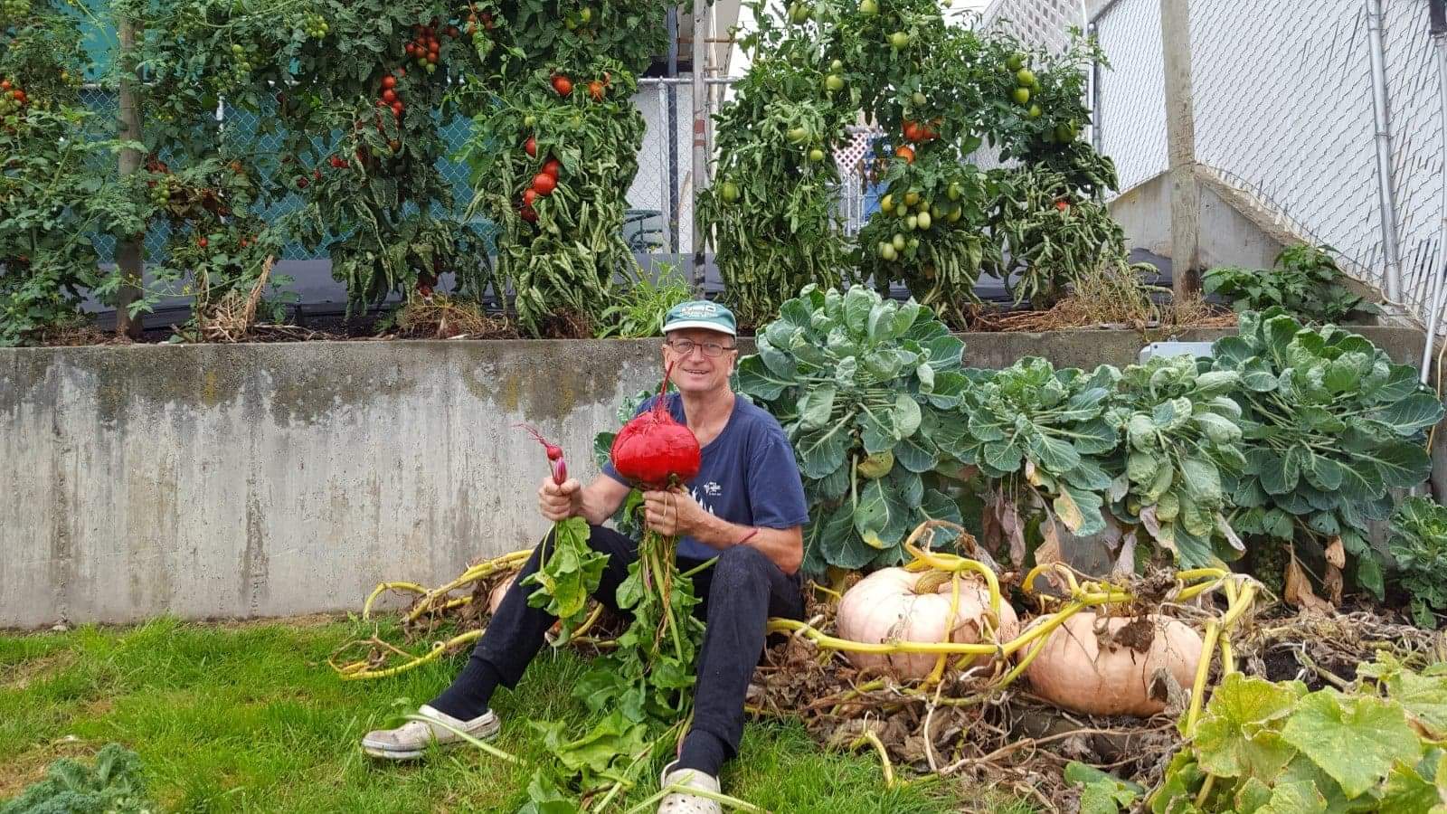 Man sitting in garden holding a small beet and a huge beet, with pumpkins next to him.