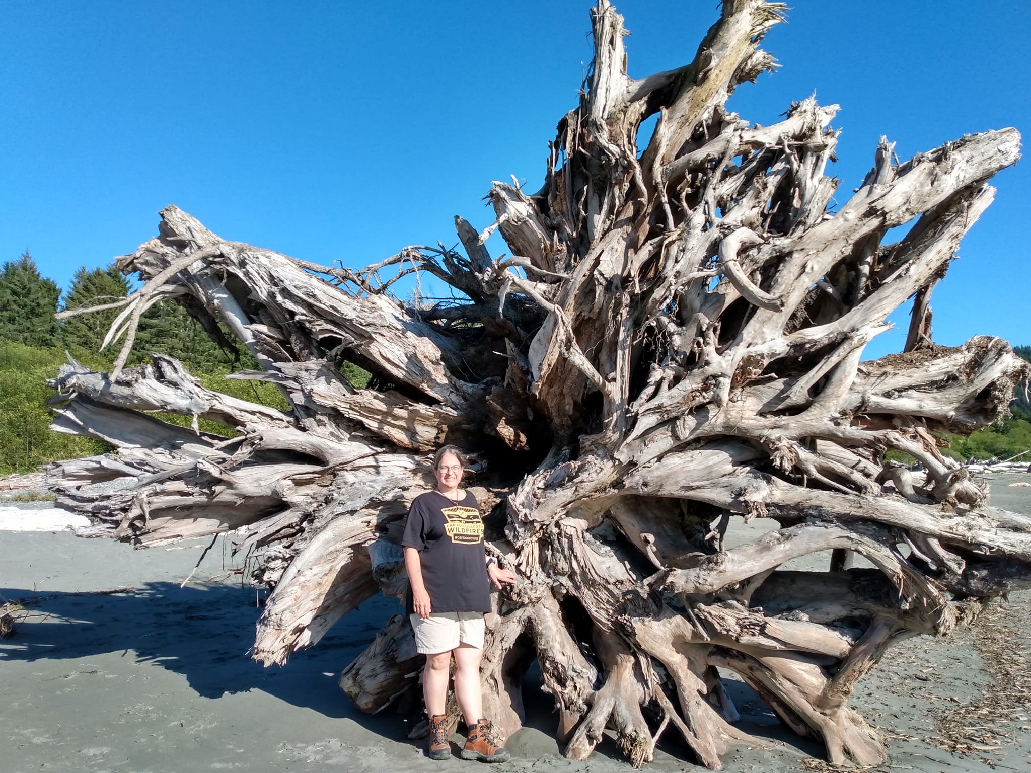 A woman in black posing in front of tree root. 