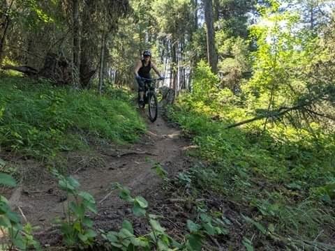 A person in a black sleeveless vest riding a mountain bike down a forest trail.