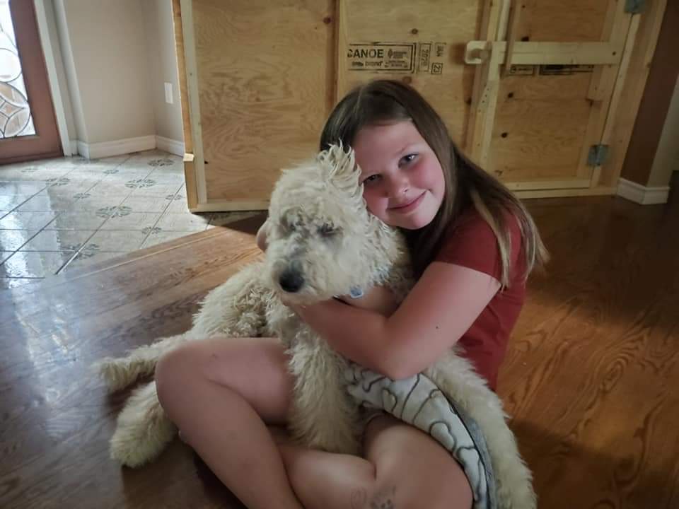 A girl sits with a beige dog with wavy fur in her lap.