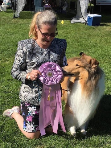 Woman kneeling next to rough collie with large purple dog show ribbon.