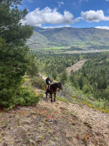 A woman riding a horse up a steep trail with hills and trees in the background