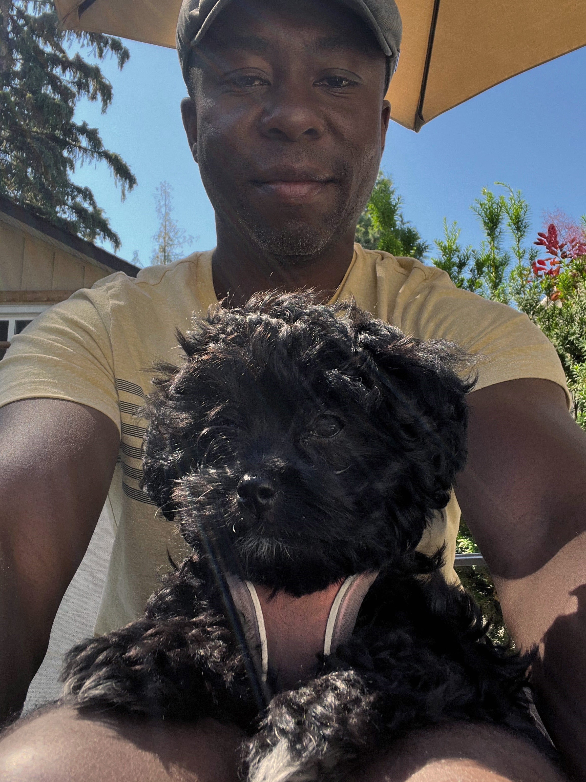 A man is holding a small black dog in a harness on his lap, under a backyard patio umbrella