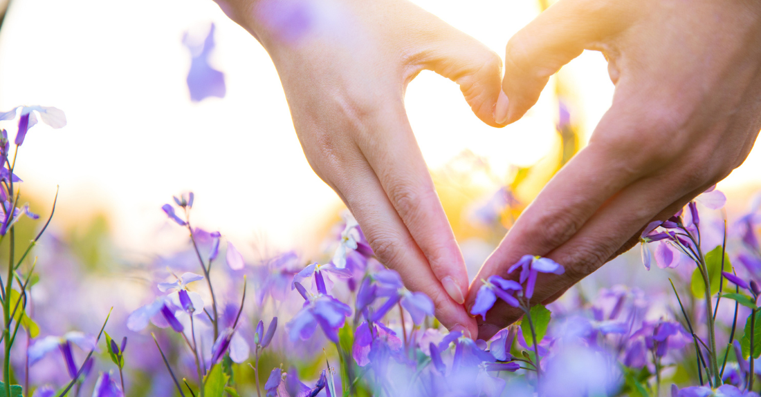 Two hands meet to form a heart in a field of purple flowers.