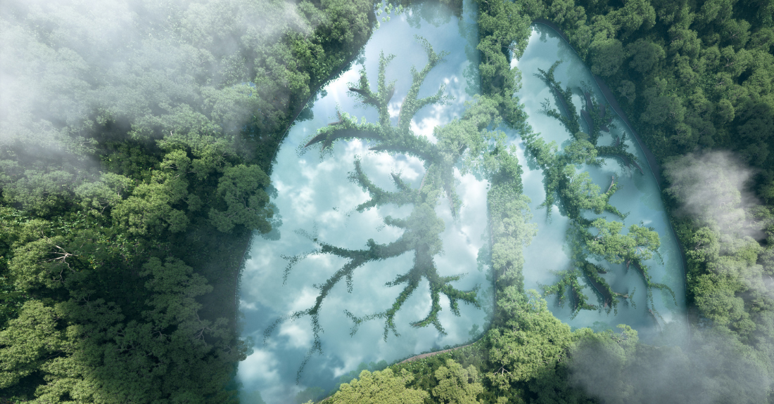 An aerial view of lush green trees forming the shape of lungs, with clouds reflecting on the water within the lung shapes.
