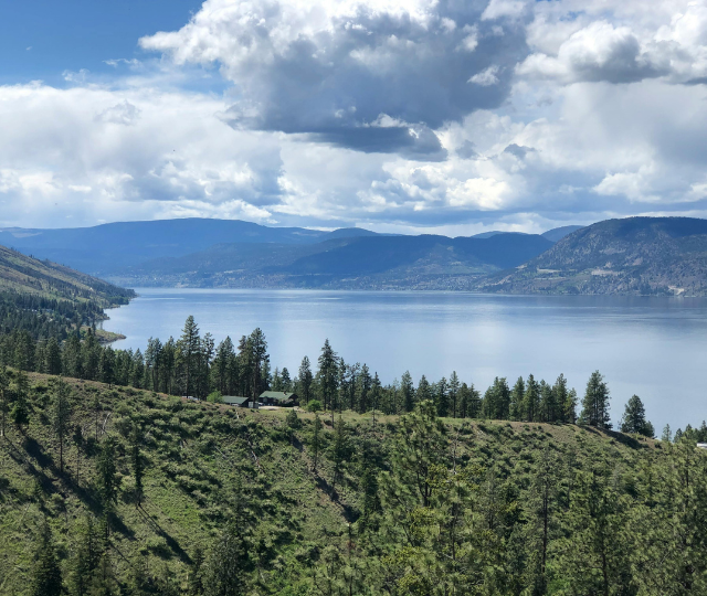 location