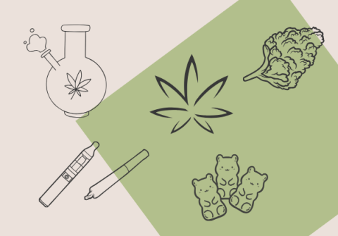 Cannabis-related clip art displayed on a rectangular taupe background that also features a green square titled at a 45 degree angle to the centre right.