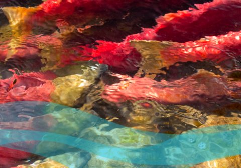 An abstract image.