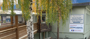 A green building with a brown pathway and tree and leaves in the foreground