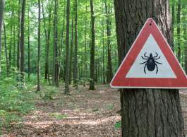 Expert View: Let's talk about ticks
