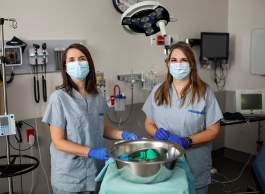RIH Champions: Babies to arrive in Kamloops' Patient Care Tower