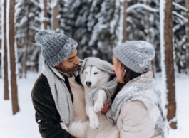 A couple stands outside in the winter wearing toques and hugging their husky dog.
