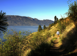 A person and their dog hike along a ridge above a lake on a sunny day.