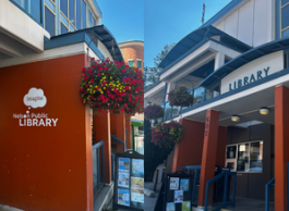 A picture of an orange arch that says Nelson Public Library with a thought bubble above that says imagine, next to a photo of the same building with words library written in blue.